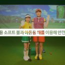 미래스크린골프 이미지