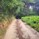 거리농장 이미지