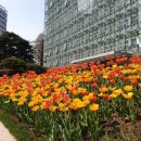 초안산 하늘꽃정원 이미지