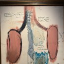 과거가 될 미래 1 | 장 미셸 바스키아 : 과거와 미래를 잇는 상징적 기호들 (동대문DDP전시)