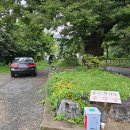 용산-363 이미지