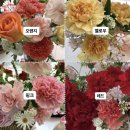 매일이꽃날
