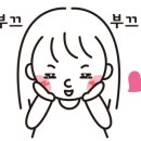 하이블어학원 이미지