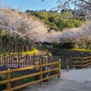 서홍동-3 이미지