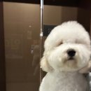 한올디테일그루밍 이미지