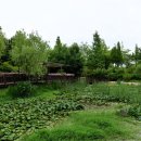 속삭이는 바다 이미지