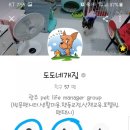 도도네 개집 이미지