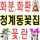 하은셀프세차장