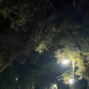 문화근린공원 이미지