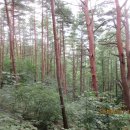 장군터(1) 이미지