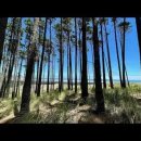 2026년 7월 25일 Waiuku Forest Loop Track 이미지