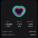 수영-304 이미지