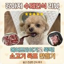 금쪽같은내강아지수제간식 | 에어프라이어 강아지 수제 간식 홍두깨살로 강아지 소고기 육포 만든 후기