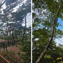 1순환로(3-179) 이미지