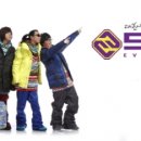 에스티엘