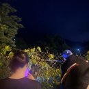 동물보육원 김포지부 이미지