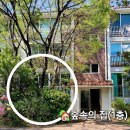 금호동 백합아파트 이미지