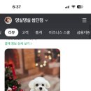 댕실댕실 이미지