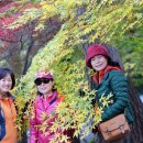 금강공원 이미지