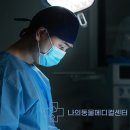양구동물병원