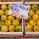 오늘청과2 이미지