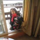 코코팬션 이미지