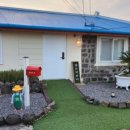 해피 파마씨 이미지