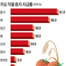 한농종묘 - 무주군 안성로 275-7 | 한농종묘