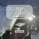 횡성 | [강포로 여행] 눈 덮인 횡성숲체원 후기 | 폭설 🌨️(꿀팁)