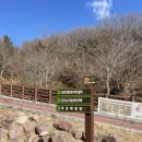 김해목재문화박물관 이미지