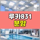 831 이미지
