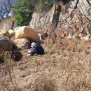 솔숲농원 이미지