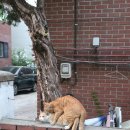 도영상회 | 0418-0420 My everyday is beautiful