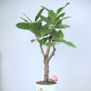 센스공인중개사사무소 이미지