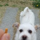 산책가는길 이미지