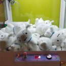 흰둥이네 인형뽑기 이미지