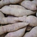 아어가지 이미지