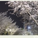한양대기숙사(행복관) 네이버블로그
