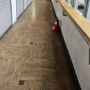 클레르피부과의원 | 세종시 가장 유명한 피부과; 세종퍼스트피부과 연세에스 클레르피부과