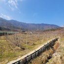 청산생선국수 - 옥천군 | 청산생선국수