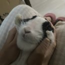 피케이학원 | 한 달 만입니다 .