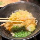 오사카PC | [일본여행] 오사카 현지인 맛집 부드러운 우동면 츠루동탄 다이코쿠초점 / 내돈내산 솔직후기