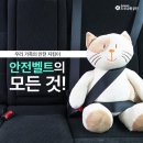 안전벨트