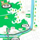 댕댕식당 | 대전 댕댕런 2025 5km 완주 성공 후기