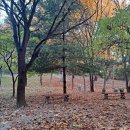 요한복음 13:31~35 주님이 주신 새 계명 이미지