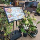 팟타이키친 | 송리단길: [골든타이키친] &#39;팟타이&#39;후기