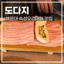 [부산 해운대/중동] 중동 숙성돼지고기 오겹대패 맛집 도다지 (내돈내산)