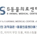서리풀동물병원 이미지