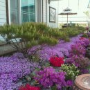 수림농장 이미지