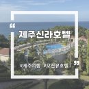 씨유 거제사등새아침점 | 제주 신라호텔 디럭스 오션뷰 2박 알차게 즐긴 내돈내산 찐 후기 및 꿀팁